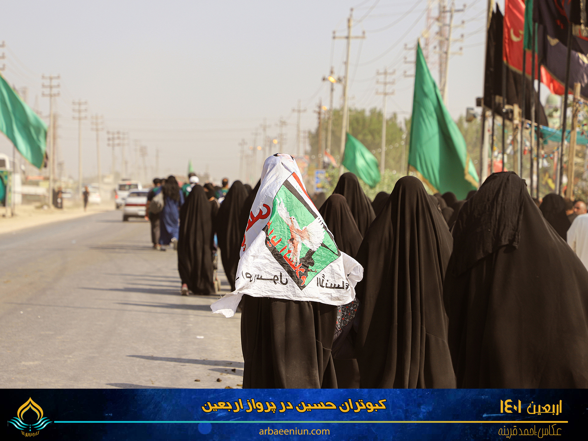 کبوتران حسین در پرواز اربعین
